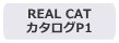 REAL CAT P1